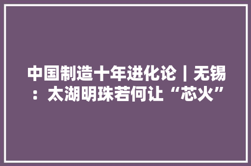 中国制造十年进化论｜无锡：太湖明珠若何让“芯火”燎原