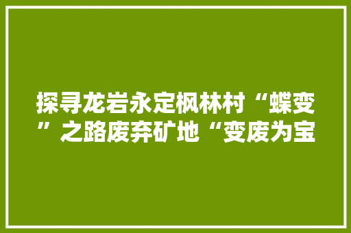 探寻龙岩永定枫林村“蝶变”之路废弃矿地“变废为宝”
