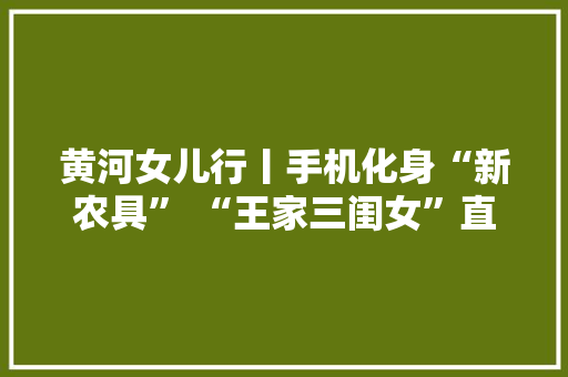黄河女儿行丨手机化身“新农具” “王家三闺女”直播卖货为家乡代言 黄河女儿行丨手机化身“新农具” “王家三闺女”直播卖货为家乡代言 互联通信