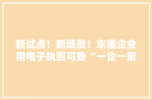 新试点！新场景！东疆企业用电子执照可登“一企一策”专属纵贯车