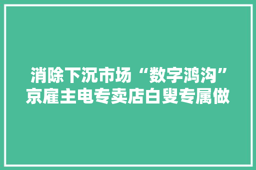 消除下沉市场“数字鸿沟”京雇主电专卖店白叟专属做事受乡镇消费者迎接 消除下沉市场“数字鸿沟”京雇主电专卖店白叟专属做事受乡镇消费者迎接 智能家居
