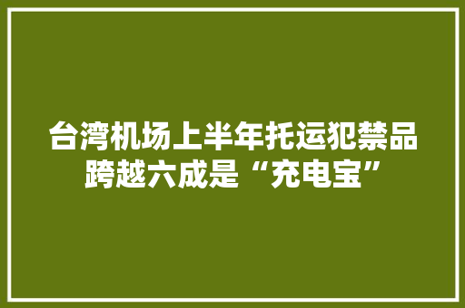台湾机场上半年托运犯禁品跨越六成是“充电宝”