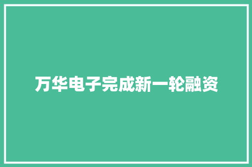 万华电子完成新一轮融资 万华电子完成新一轮融资 智能科技