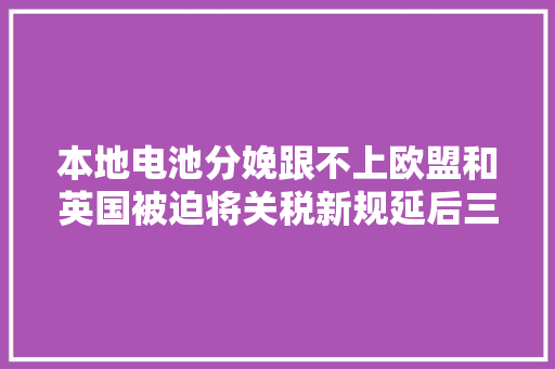 本地电池分娩跟不上欧盟和英国被迫将关税新规延后三年 本地电池分娩跟不上欧盟和英国被迫将关税新规延后三年 人工智能