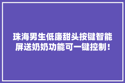 珠海男生低廉甜头按键智能屏送奶奶功能可一键控制！网友求批量分娩