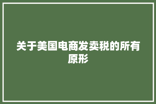 关于美国电商发卖税的所有原形