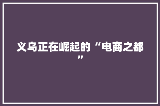 义乌正在崛起的“电商之都” 义乌正在崛起的“电商之都” 智能家居