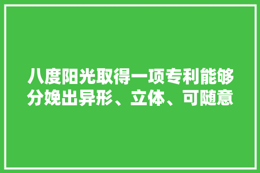 八度阳光取得一项专利能够分娩出异形、立体、可随意弯折卷曲的电子线路板
