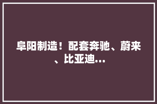 阜阳制造！配套奔驰、蔚来、比亚迪…