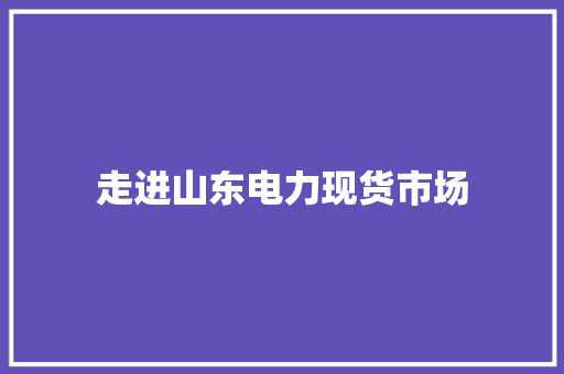 走进山东电力现货市场 走进山东电力现货市场 智能科技