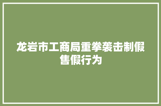 龙岩市工商局重拳袭击制假售假行为 龙岩市工商局重拳袭击制假售假行为 智能家居