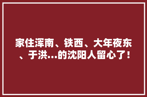 家住浑南、铁西、大年夜东、于洪…的沈阳人留心了！你家临近要丰年夜变革