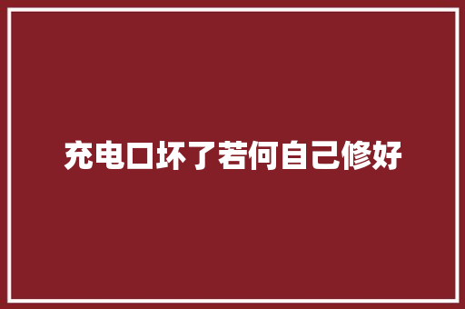充电口坏了若何自己修好