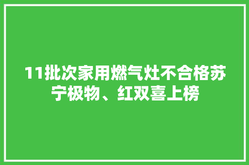 11批次家用燃气灶不合格苏宁极物、红双喜上榜