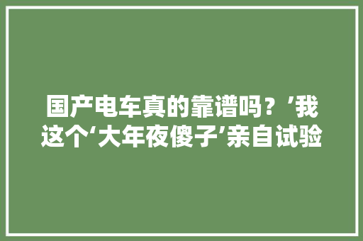 国产电车真的靠谱吗？’我这个‘大年夜傻子’亲自试验后告诉你谜底