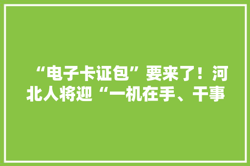 “电子卡证包”要来了！河北人将迎“一机在手、干事无忧”！ “电子卡证包”要来了！河北人将迎“一机在手、干事无忧”！ 智能家居