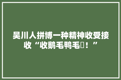 吴川人拼博一种精神收受接收“收鹅毛鸭毛啰！” 吴川人拼博一种精神收受接收“收鹅毛鸭毛啰！” 智能科技
