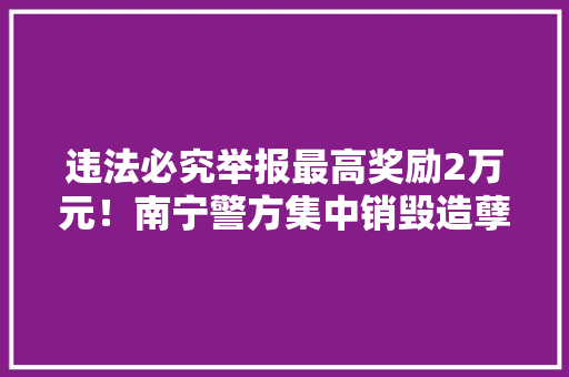 违法必究举报最高奖励2万元！南宁警方集中销毁造孽枪爆物 违法必究举报最高奖励2万元！南宁警方集中销毁造孽枪爆物 人工智能