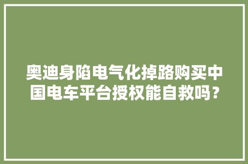 奥迪身陷电气化掉路购买中国电车平台授权能自救吗？