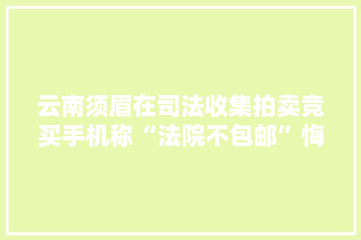 云南须眉在司法收集拍卖竞买手机称“法院不包邮”悔拍被处罚 云南须眉在司法收集拍卖竞买手机称“法院不包邮”悔拍被处罚 智能科技