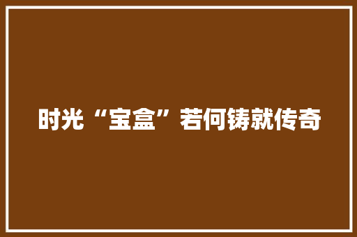 时光“宝盒”若何铸就传奇 时光“宝盒”若何铸就传奇 智能家居