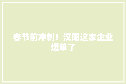 春节前冲刺！汉阳这家企业爆单了