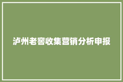 泸州老窖收集营销分析申报