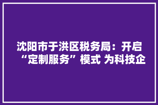 沈阳市于洪区税务局：开启“定制服务”模式 为科技企业成长赋能添力