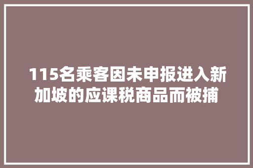115名乘客因未申报进入新加坡的应课税商品而被捕