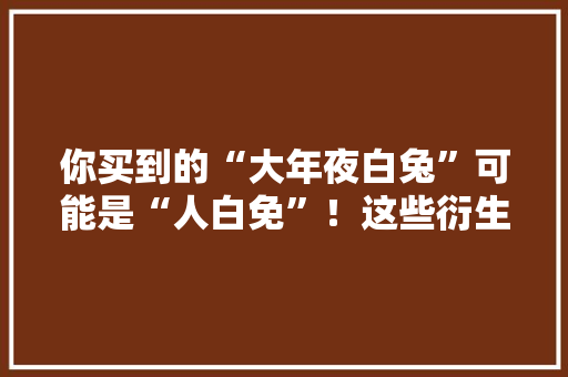 你买到的“大年夜白兔”可能是“人白免”！这些衍生品都是山寨的 你买到的“大年夜白兔”可能是“人白免”！这些衍生品都是山寨的 人工智能