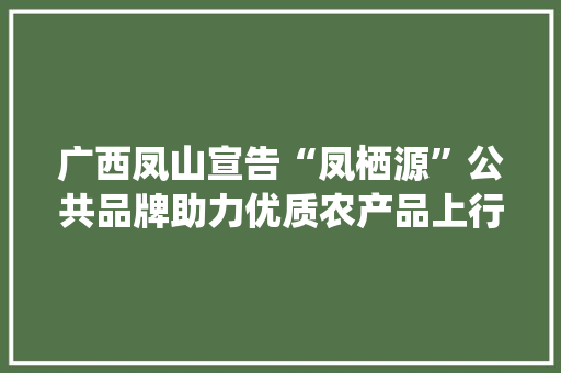 广西凤山宣告“凤栖源”公共品牌助力优质农产品上行 广西凤山宣告“凤栖源”公共品牌助力优质农产品上行 智能科技
