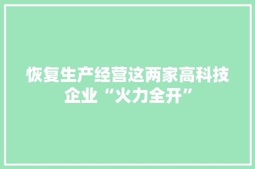 恢复生产经营这两家高科技企业“火力全开” 恢复生产经营这两家高科技企业“火力全开” 智能科技