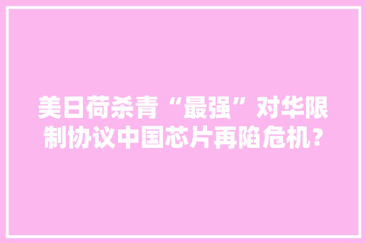 美日荷杀青“最强”对华限制协议中国芯片再陷危机？