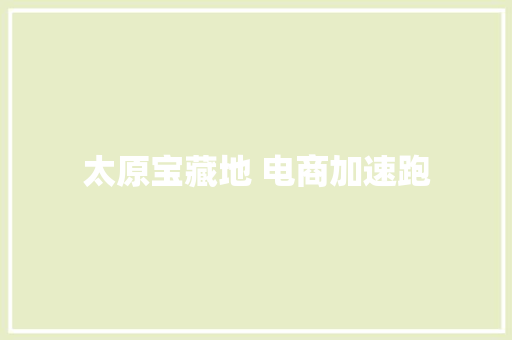 太原宝藏地 电商加速跑 太原宝藏地 电商加速跑 互联通信