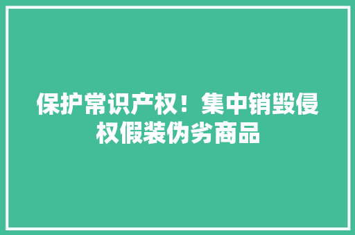 保护常识产权！集中销毁侵权假装伪劣商品