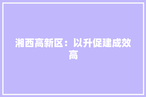 湘西高新区：以升促建成效高