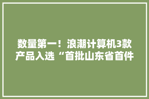 数量第一！浪潮计算机3款产品入选“首批山东省首件套电子产品”