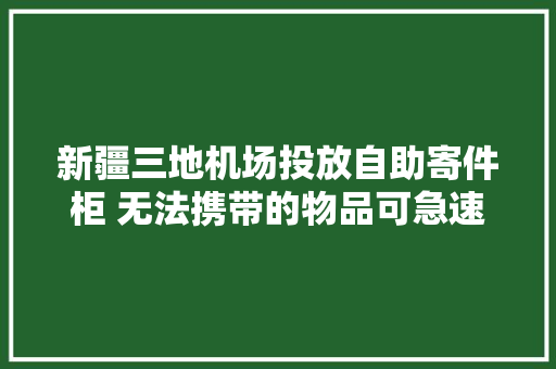 新疆三地机场投放自助寄件柜 无法携带的物品可急速寄