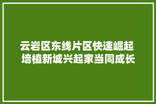 云岩区东线片区快速崛起 培植新城兴起家当同成长
