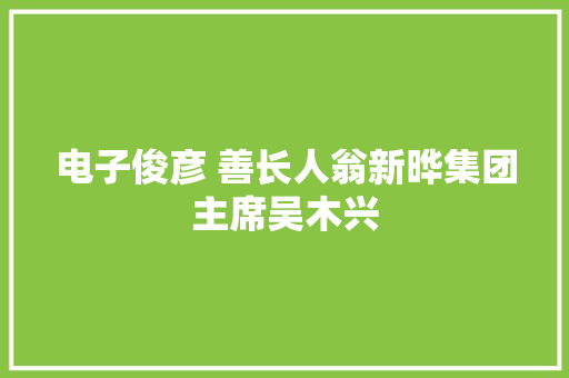 电子俊彦 善长人翁新晔集团主席吴木兴 智能家居