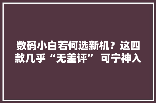 数码小白若何选新机？这四款几乎“无差评” 可宁神入手