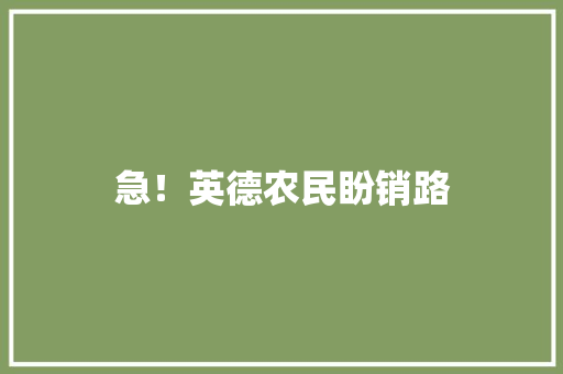 急！英德农民盼销路