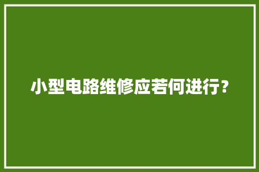 小型电路维修应若何进行？