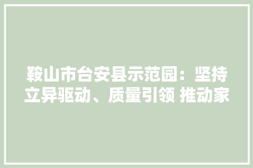 鞍山市台安县示范园：坚持立异驱动、质量引领 推动家当融合成长