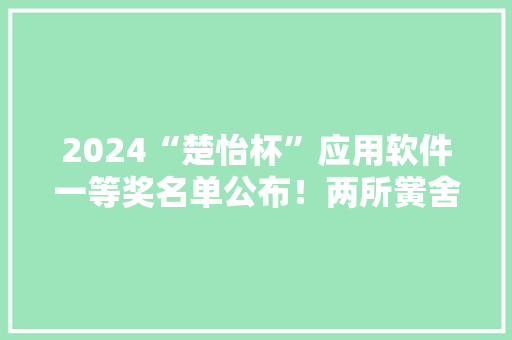 2024“楚怡杯”应用软件一等奖名单公布！两所黉舍拿“双冠王”！