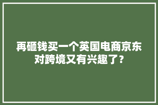 再砸钱买一个英国电商京东对跨境又有兴趣了？