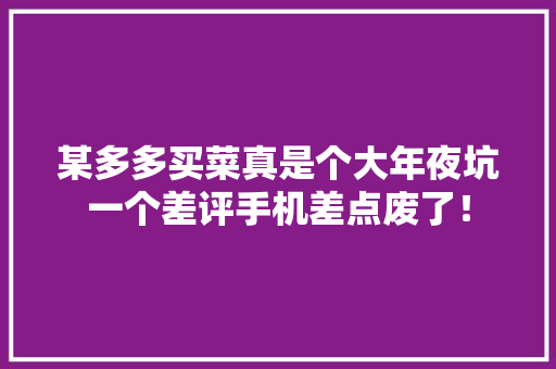 某多多买菜真是个大年夜坑一个差评手机差点废了！