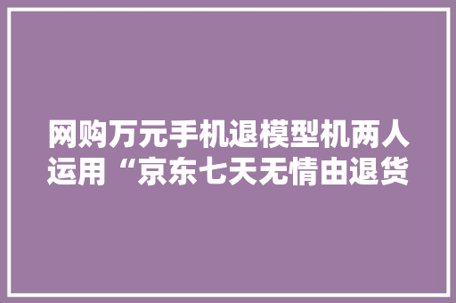 网购万元手机退模型机两人运用“京东七天无情由退货”调包取利被刑拘