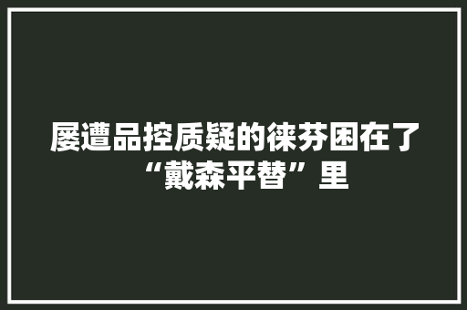 屡遭品控质疑的徕芬困在了“戴森平替”里