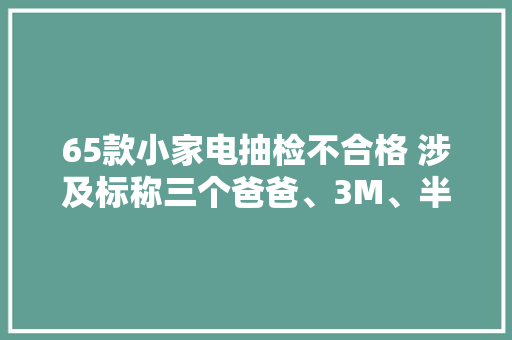 65款小家电抽检不合格 涉及标称三个爸爸、3M、半球、新飞、SETIR 森太 65款小家电抽检不合格 涉及标称三个爸爸、3M、半球、新飞、SETIR 森太 互联通信